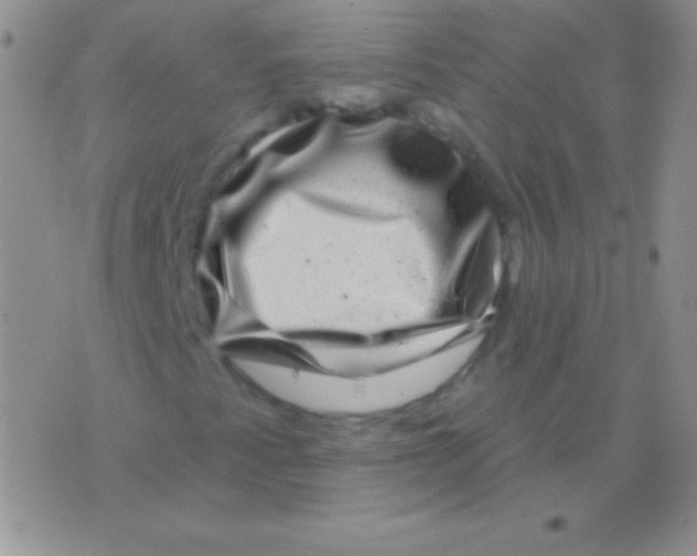 X0000075901345200610062107