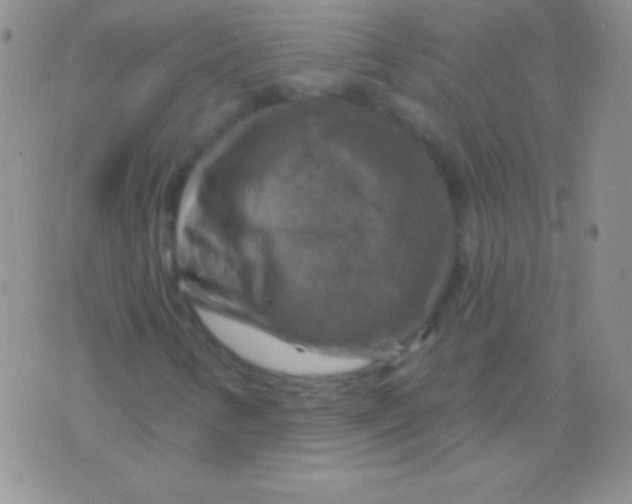 X0000075901346200610062107