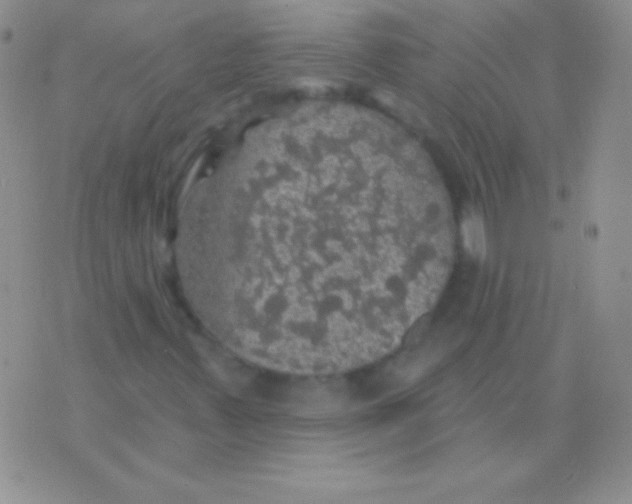 X0000075901347200610062107