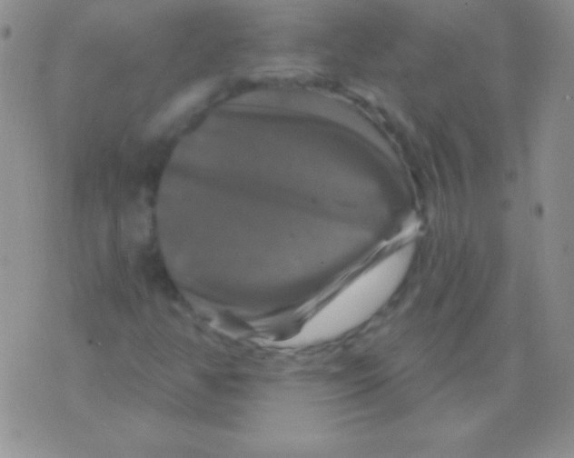 X0000075901350200610062107