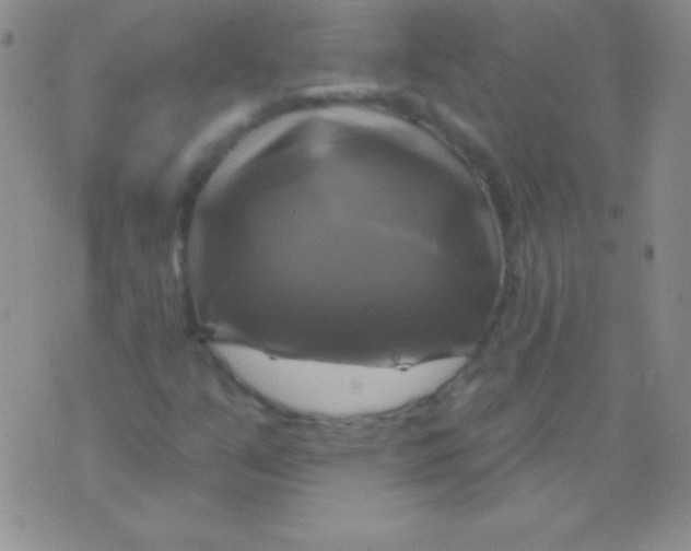 X0000075901351200610062107