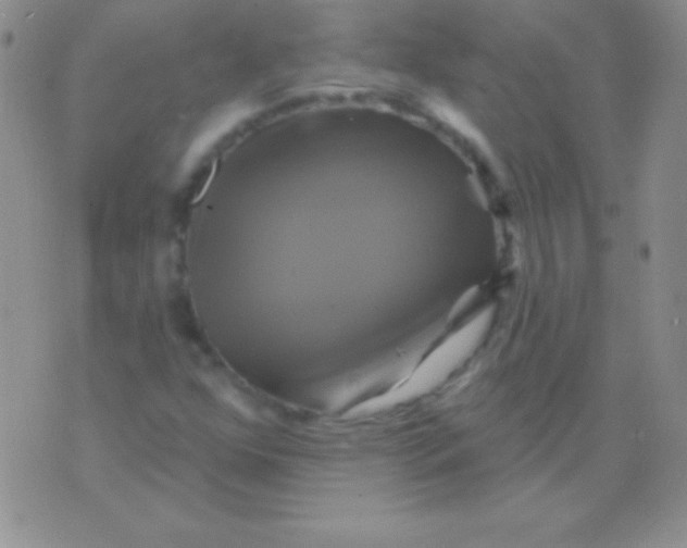 X0000075901352200610062107