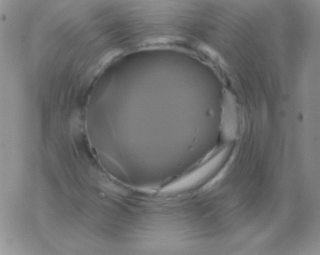 X0000075901353200610062107