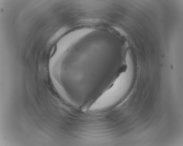 X0000075901354200610062107