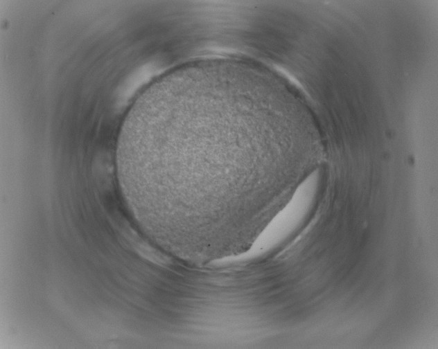 X0000075901355200610062107