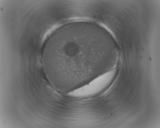 X0000075901357200610062107