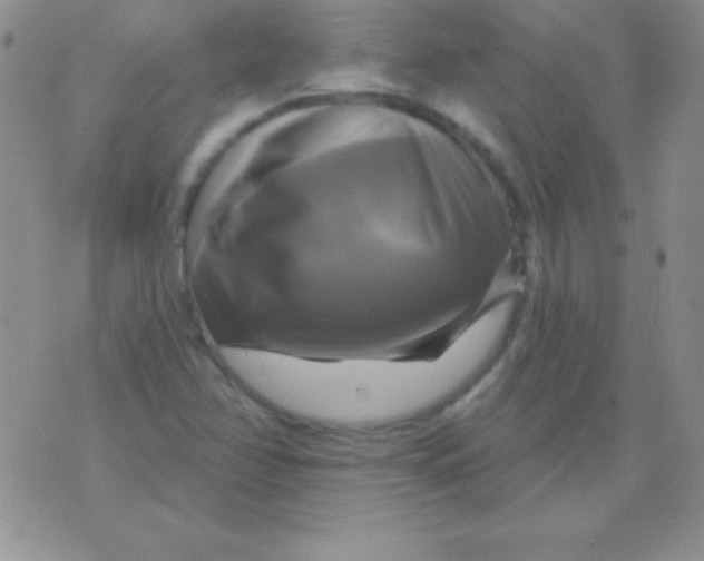 X0000075901358200610062107