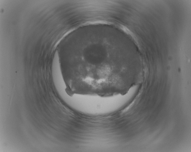 X0000075901361200610062107