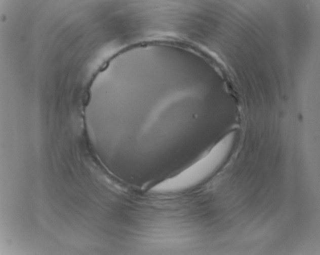 X0000075901363200610062107