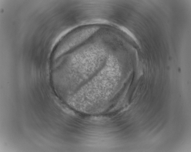 X0000075901364200610062107