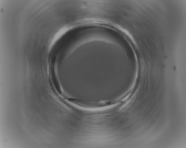 X0000075901365200610062107