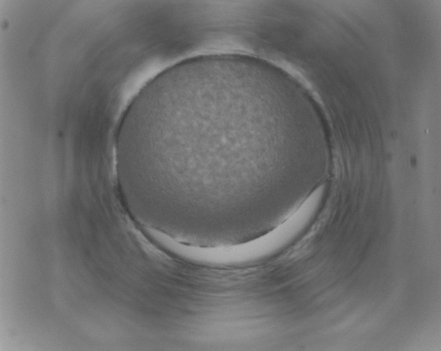 X0000075901366200610062107