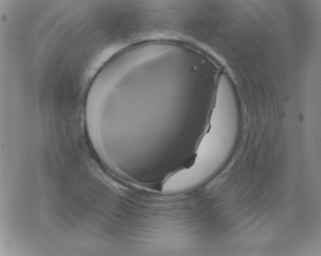 X0000075901367200610062107