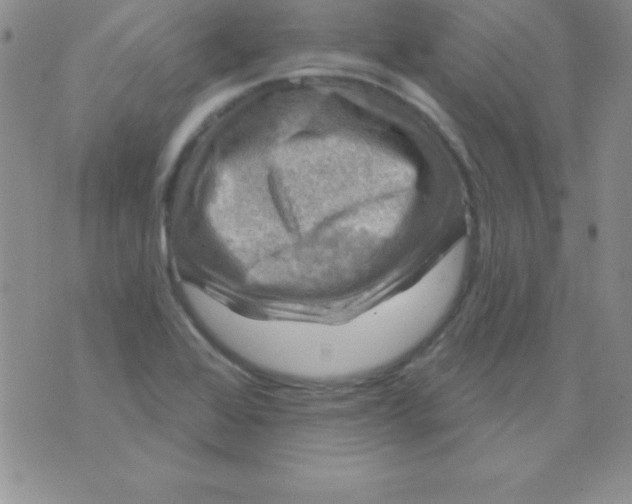 X0000075901368200610062107