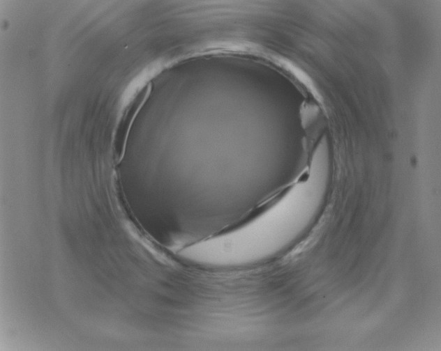 X0000075901373200610062107