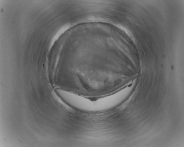 X0000075901374200610062107