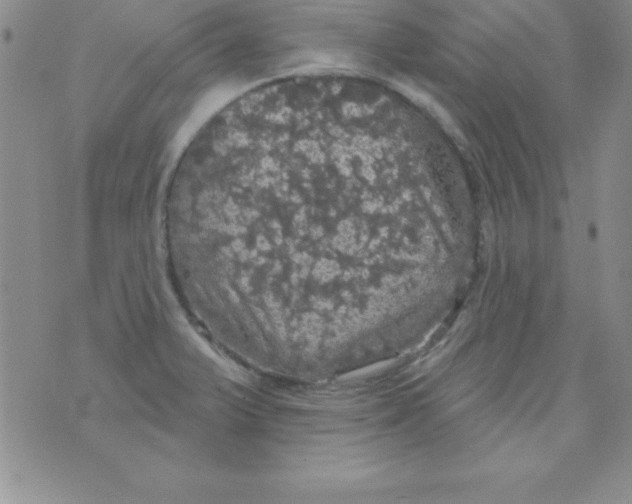 X0000075901375200610062107