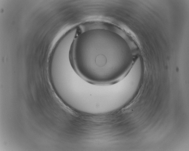 X0000075901376200610062107