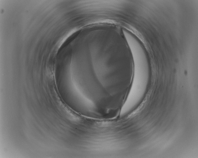 X0000075901377200610062107