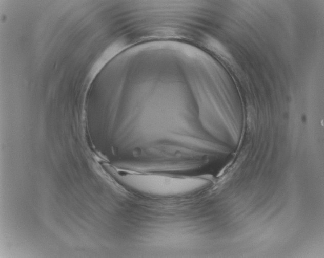 X0000075901378200610062107