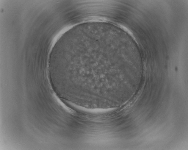 X0000075901379200610062107