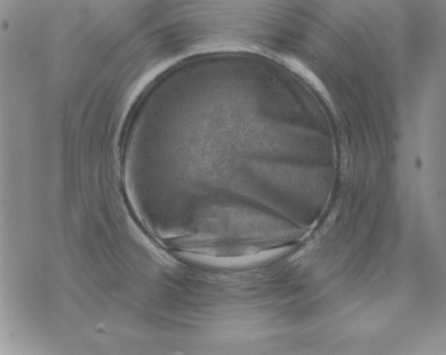 X0000075901380200610062107