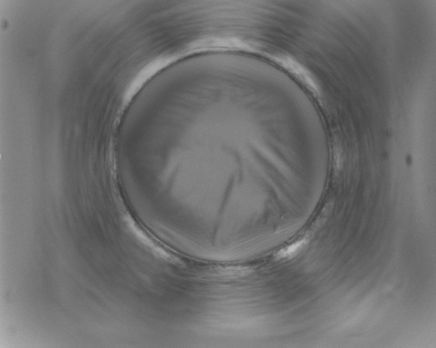 X0000075901382200610062107