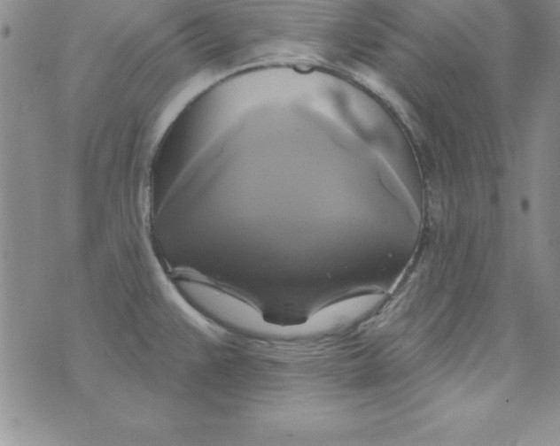 X0000075901383200610062107