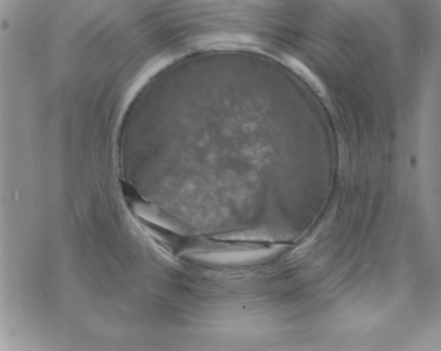 X0000075901384200610062107