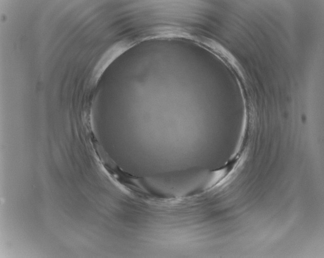 X0000075901385200610062107