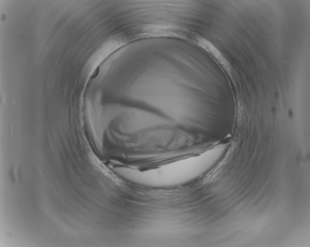 X0000075901386200610062107