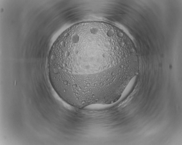 X0000075901387200610062107