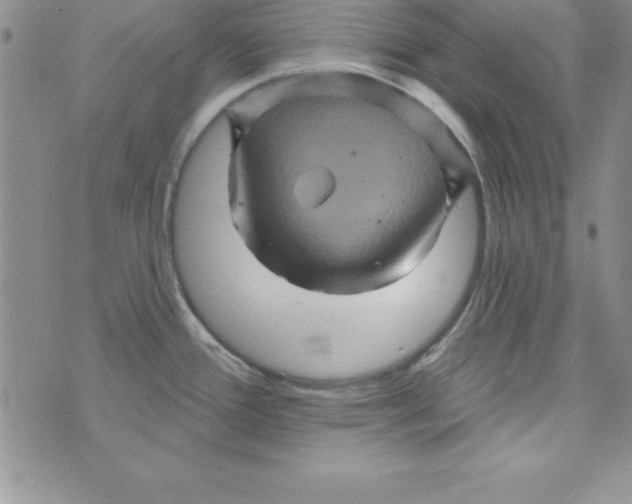 X0000075901388200610062107