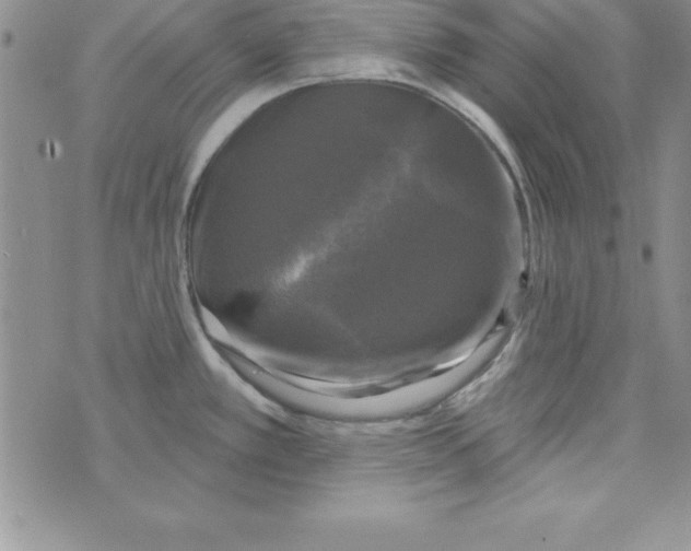 X0000075901389200610062107