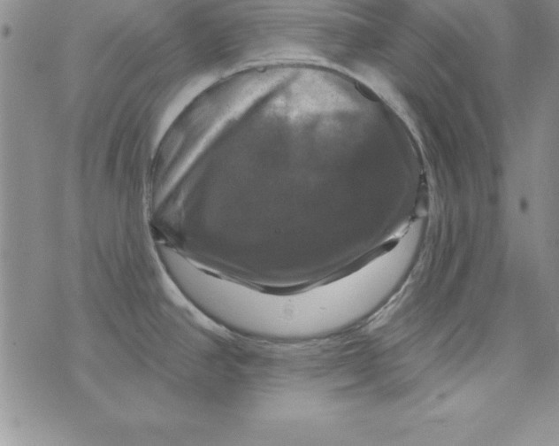 X0000075901390200610062107