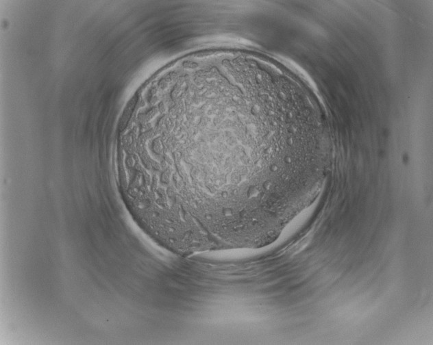 X0000075901391200610062107