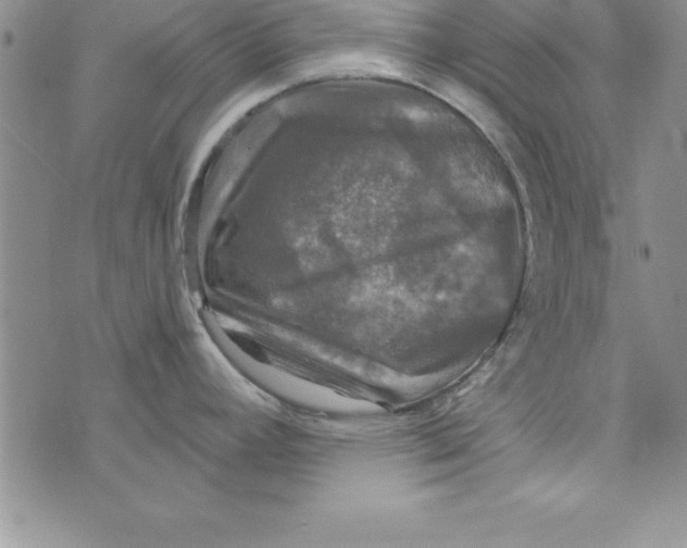 X0000075901392200610062107