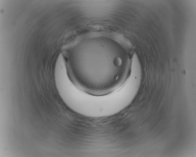 X0000075901394200610062106