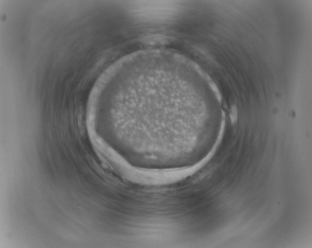 X0000075901396200610062106