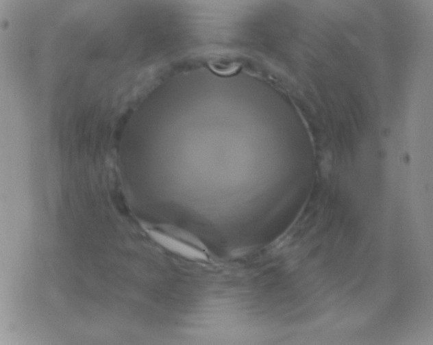 X0000075901397200610062106