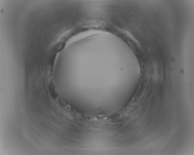 X0000075901399200610062106