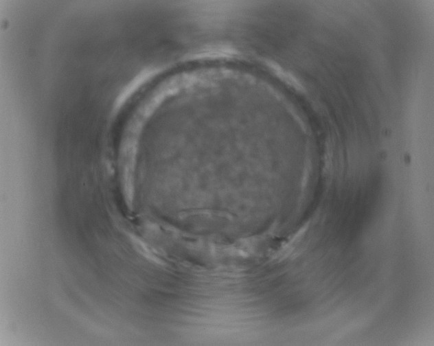 X0000075901400200610062106