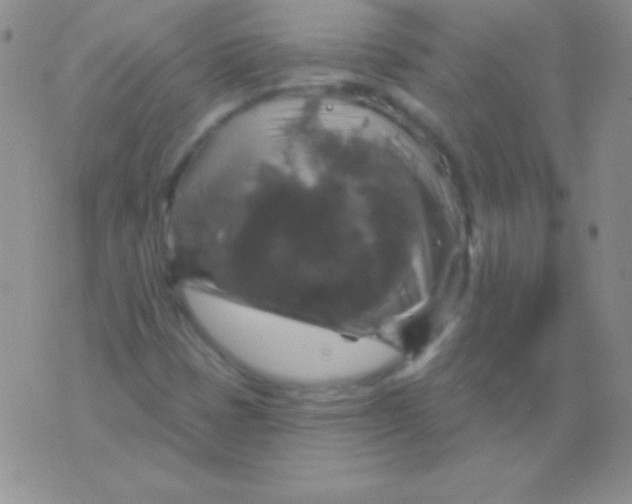 X0000075901401200610062106