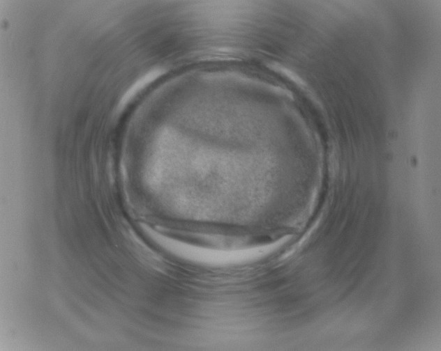 X0000075901402200610062106