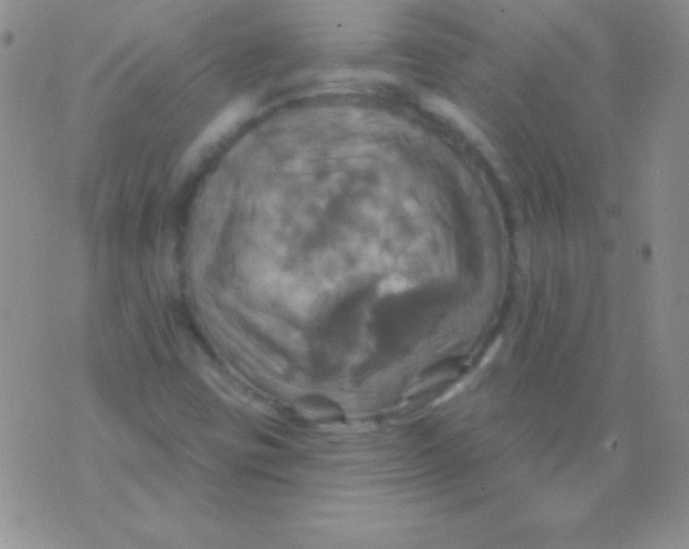 X0000075901403200610062106