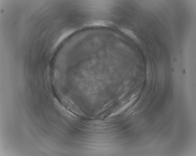 X0000075901404200610062106