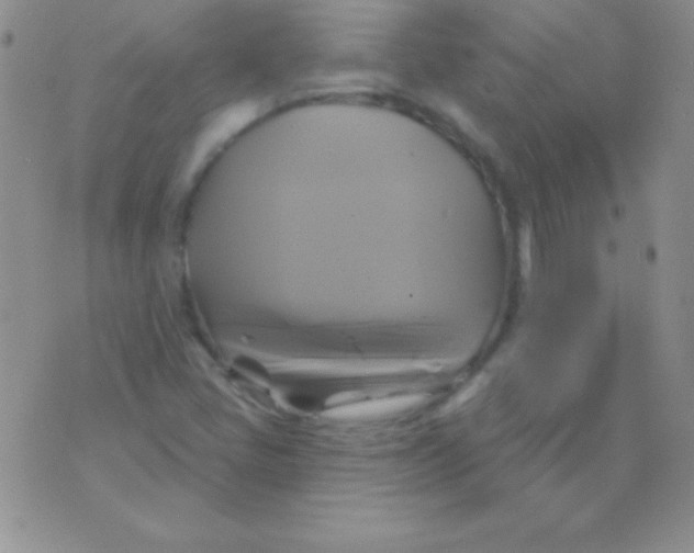 X0000075901405200610062106