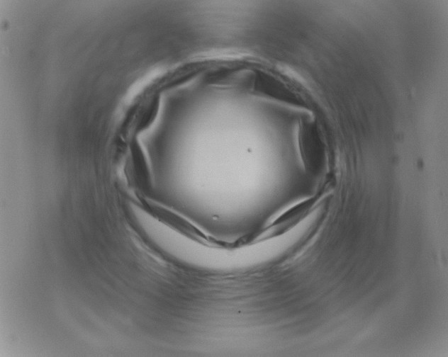 X0000075901406200610062106