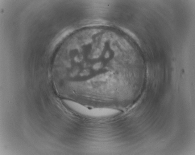 X0000075901407200610062106