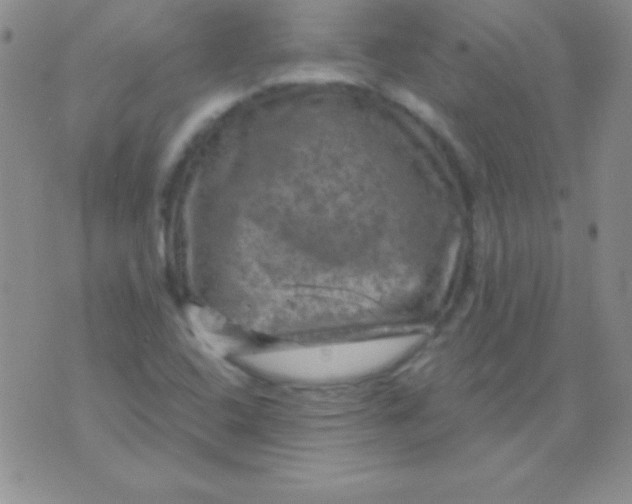 X0000075901408200610062106